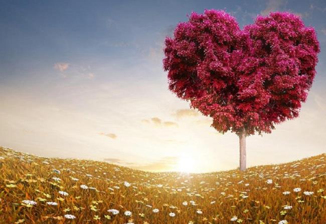 Top beautiful and most romantic 3D love wallpaper