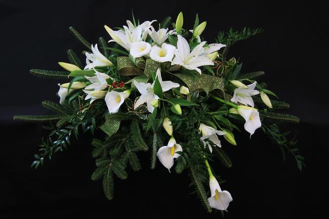 Сводка самых красивых изображений белых лилий