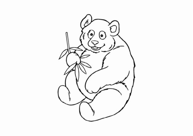 Сборник лучших раскрасок для медвежонка