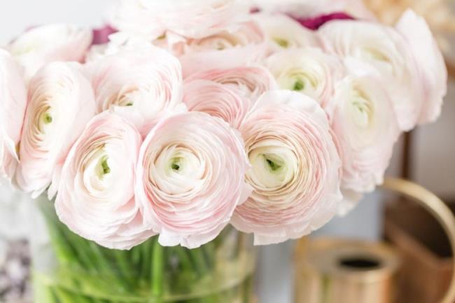 خلاصه ای از زیباترین گلهای کره