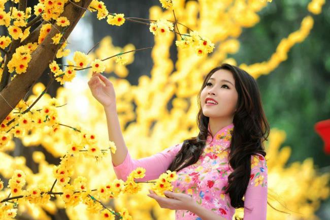 Zusammenfassung der schönsten gelben Aprikosenblüten