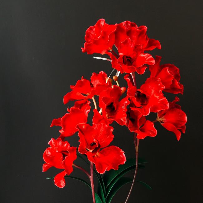 가장 아름다운 붉은 도자기 꽃의 요약