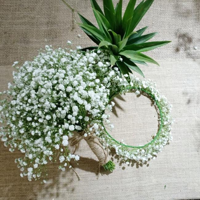Rezumatul celor mai frumoase imagini cu flori albe pentru copii