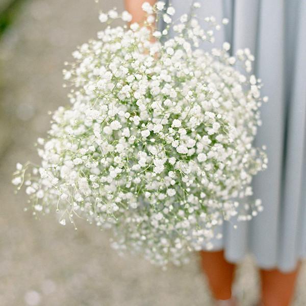 خلاصه ای از زیباترین تصاویر گلهای سفید کودک