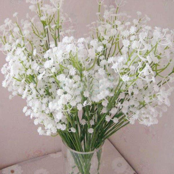Zusammenfassung der schönsten Bilder von weißen Babyblumen