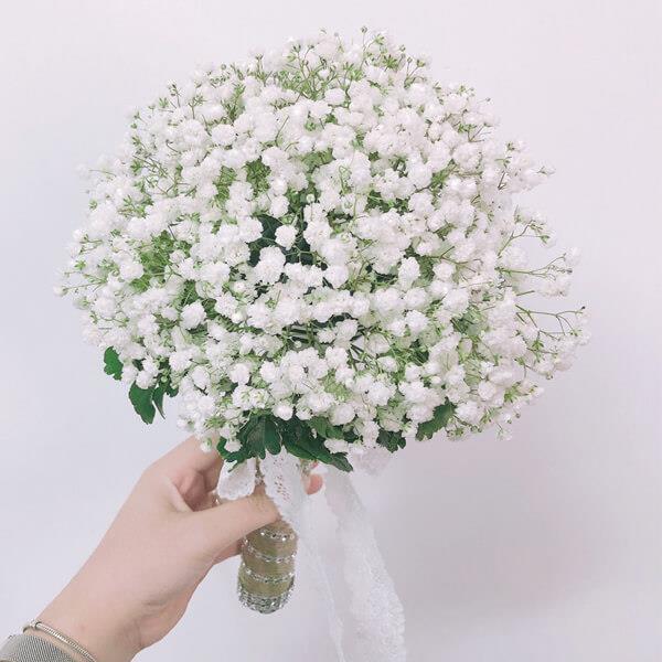 Resumen de las fotos más bellas de flores blancas de bebé
