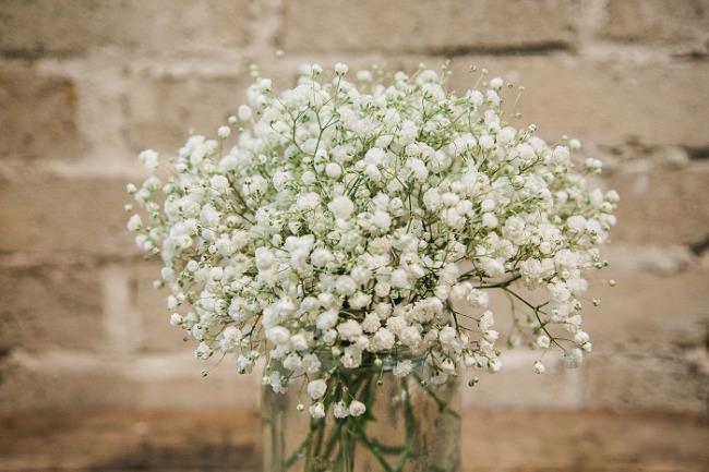 Podsumowanie najpiękniejszych zdjęć białych kwiatów dla dzieci