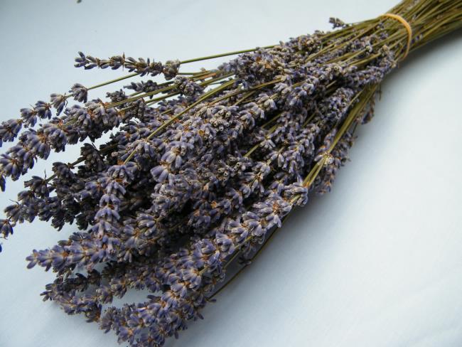 Menggabungkan gambar lavender kering yang paling indah