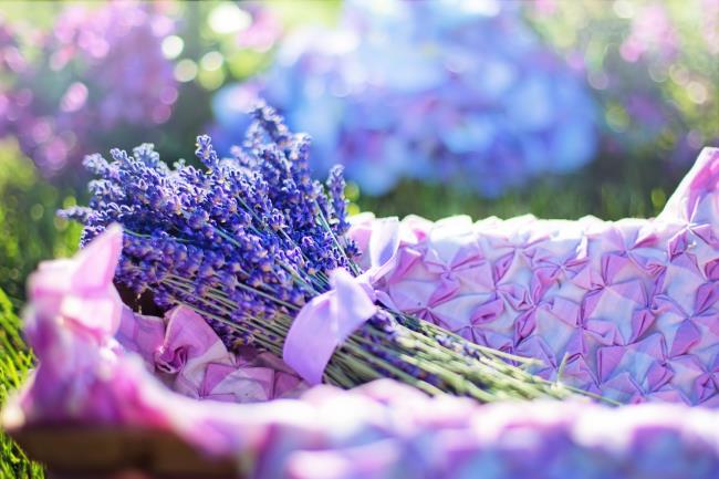 가장 아름다운 말린 라벤더의 이미지를 결합