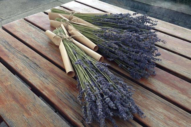 Combining images of the most beautiful dried lavender