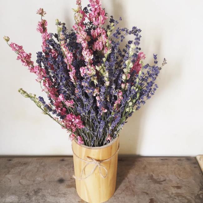 Kombinieren Sie Bilder des schönsten getrockneten Lavendels