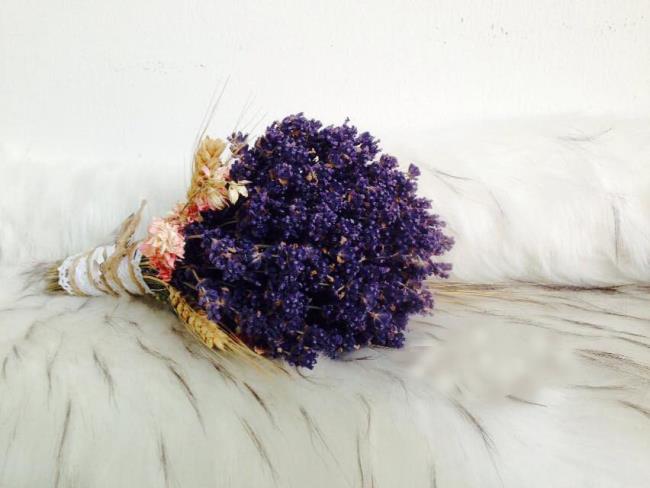 Kombinieren Sie Bilder des schönsten getrockneten Lavendels