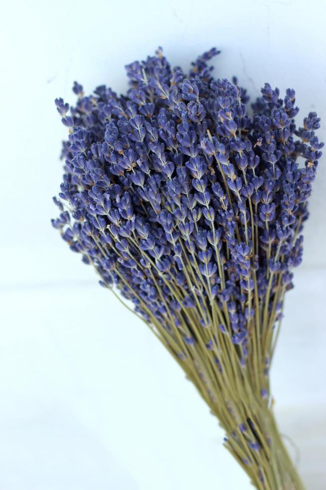 Afbeeldingen combineren van de mooiste gedroogde lavendel