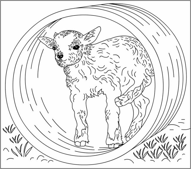 Collection of the best funny coloring pictures of goats for kids