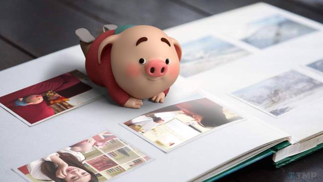 美しい壁紙としての素敵な豚の画像