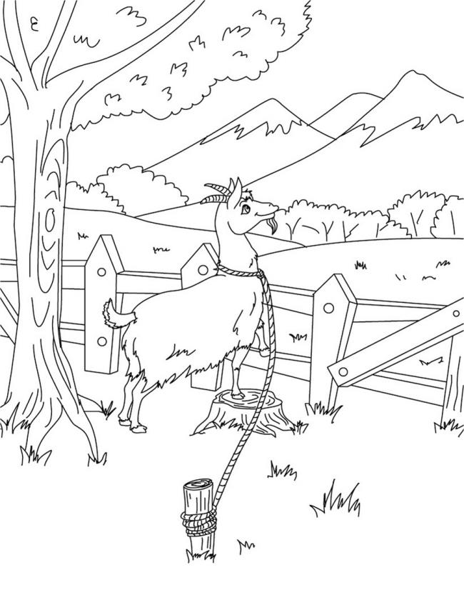 Collection of the best funny coloring pictures of goats for kids