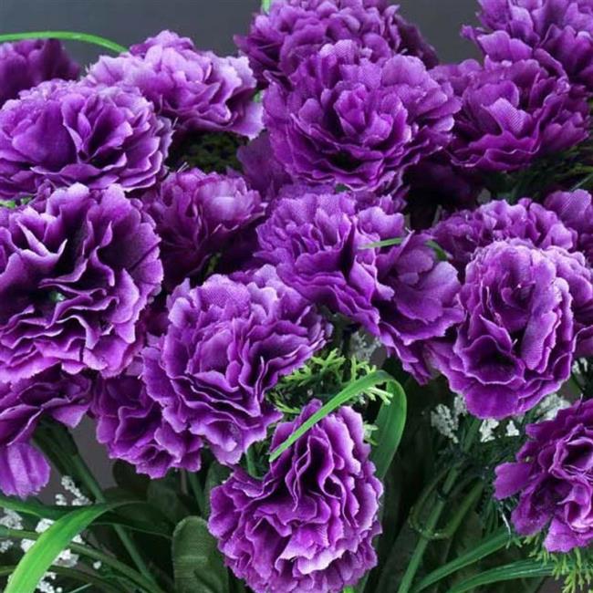 Afbeeldingen combineren van de mooiste paarse anjer