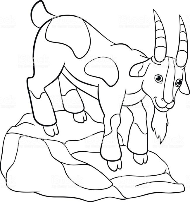 Collection of the best funny coloring pictures of goats for kids