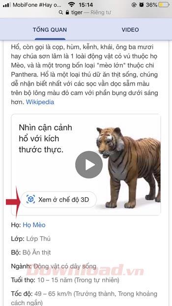 Comment Voir Des Animaux En 3d Lion Chat Chien Cheval Requin Sur Google