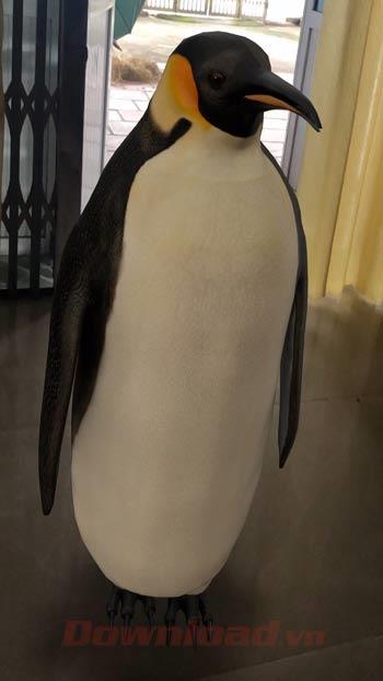 Pingüinos