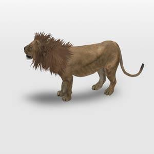 Aslan