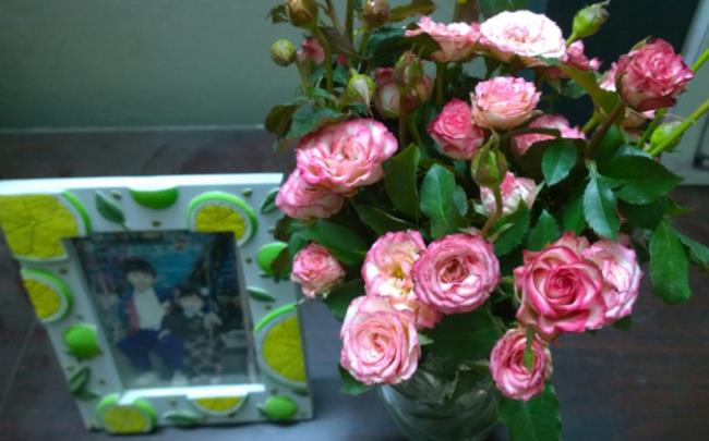 Afbeeldingen combineren van de mooiste salie rozen