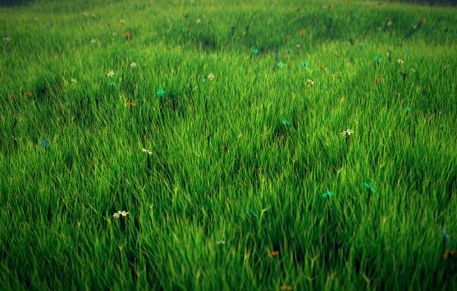 Koleksi wallpaper rumput hijau yang paling indah