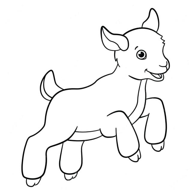 Collection of the best funny coloring pictures of goats for kids