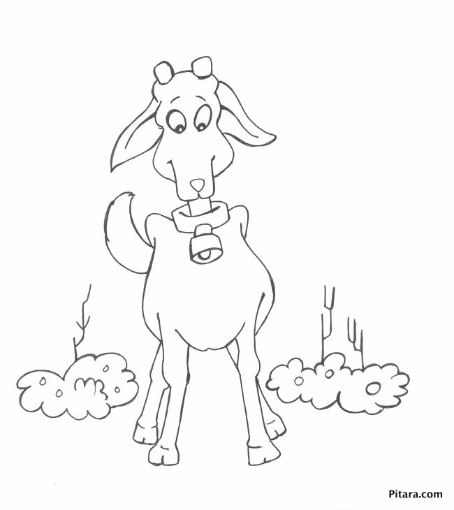 Koleksi gambar mewarnai lucu terbaik kambing untuk anak-anak