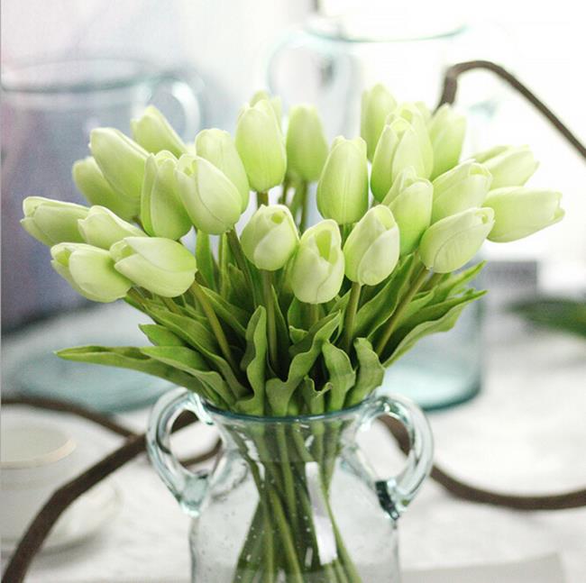 Gambar tulip putih yang indah
