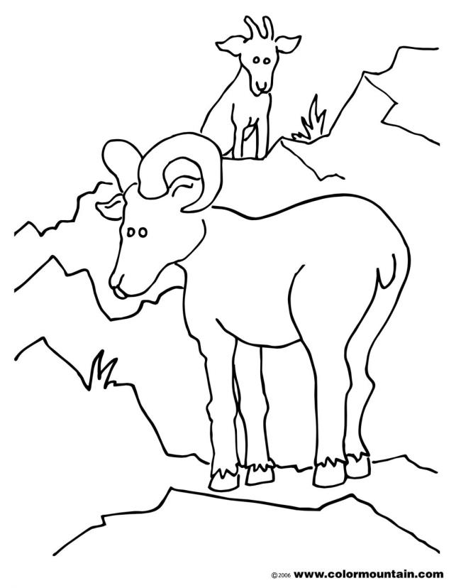 Collection of the best funny coloring pictures of goats for kids