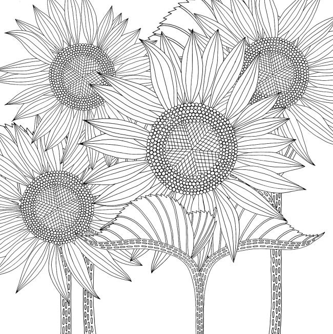 Koleksi gambar mewarnai bunga matahari yang paling indah