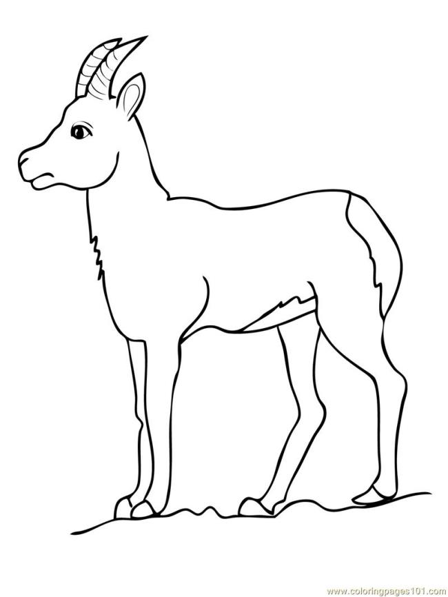 Collection of the best funny coloring pictures of goats for kids