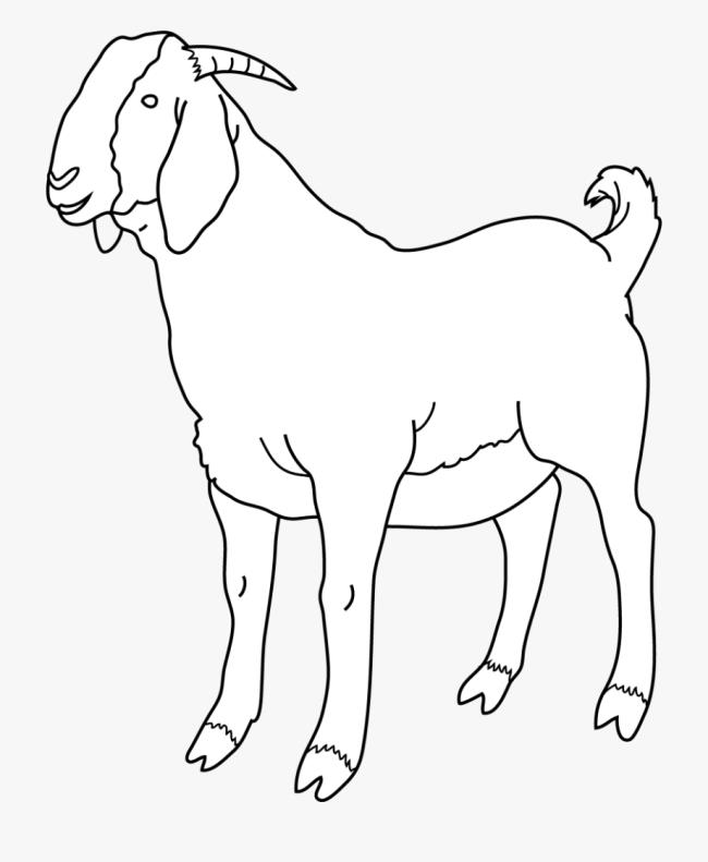 Collection of the best funny coloring pictures of goats for kids