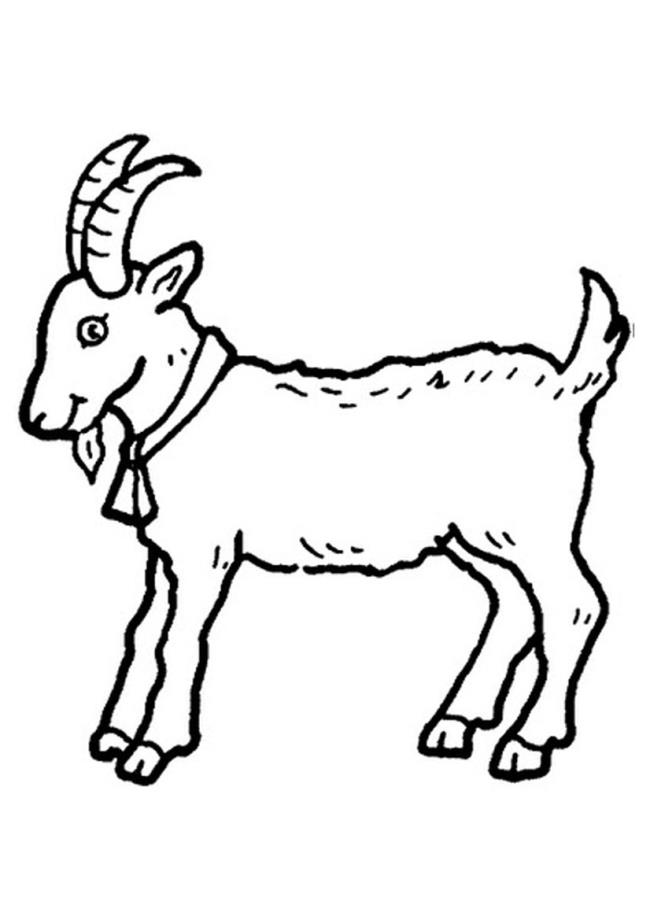 Collection of the best funny coloring pictures of goats for kids