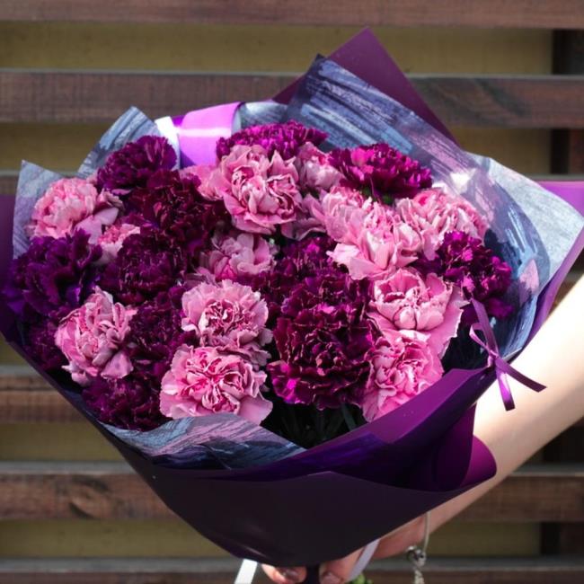 Kombinieren Sie Bilder der schönsten lila Nelke