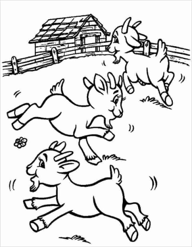 Collection of the best funny coloring pictures of goats for kids