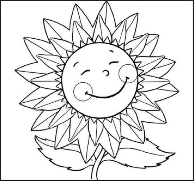 Koleksi gambar mewarnai bunga matahari yang paling indah