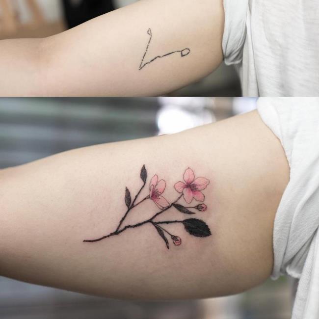Sammlung von 50 Mustern extrem schöner, hochwertiger Sakura-Tattoos
