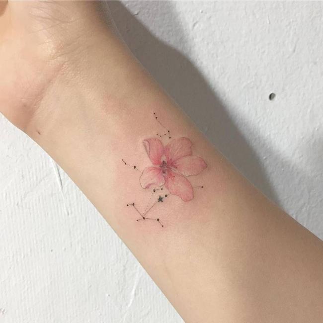 Collection of 50 samples of extremely beautiful, quality sakura tattoos