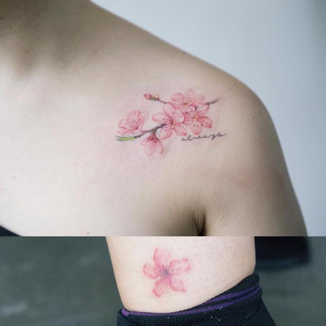 Sammlung von 50 Mustern extrem schöner, hochwertiger Sakura-Tattoos