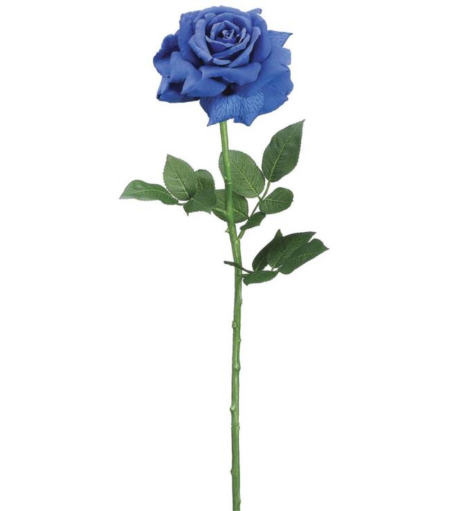 Coleção das mais belas imagens de rosas azuis