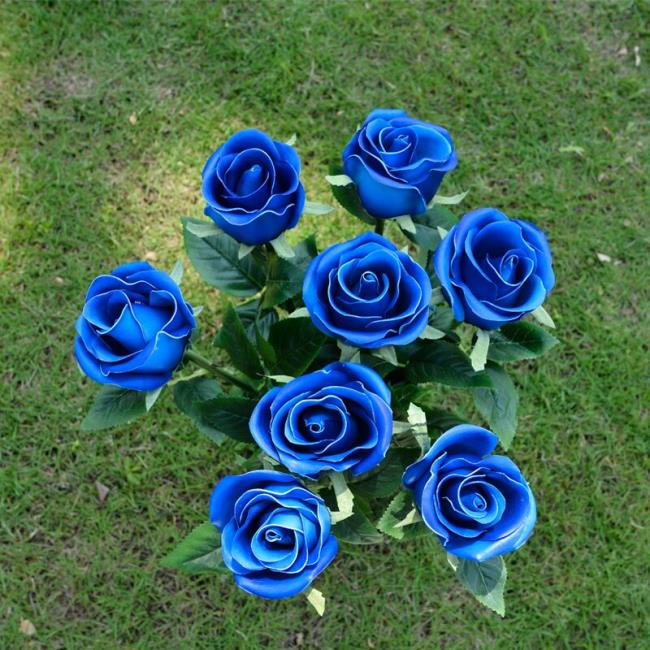 Koleksi gambar mawar biru yang paling indah