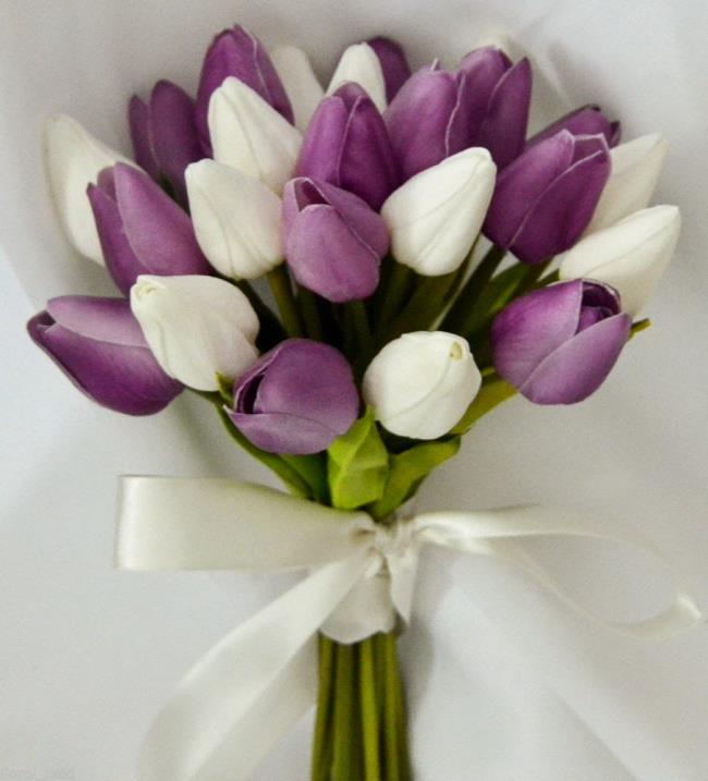 Images de belles fleurs de mariage de tulipes 