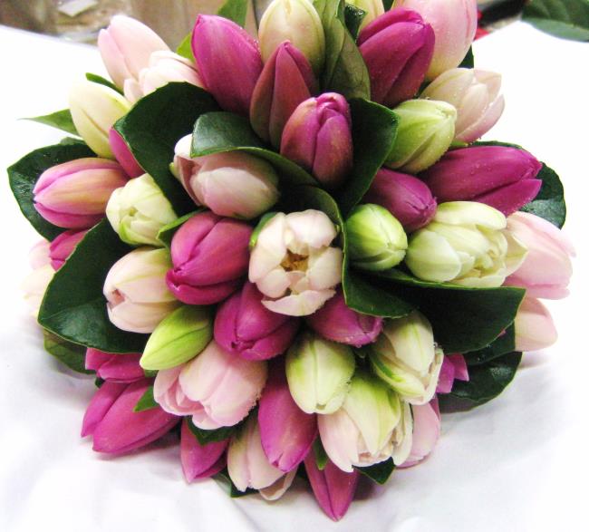 Gambar bunga pernikahan tulip yang indah 