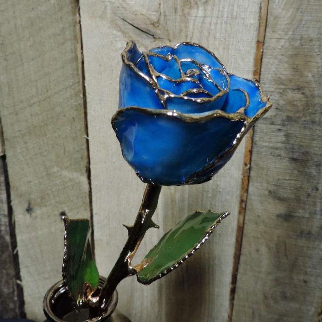 مجموعه ای از زیباترین تصاویر گل رز آبی