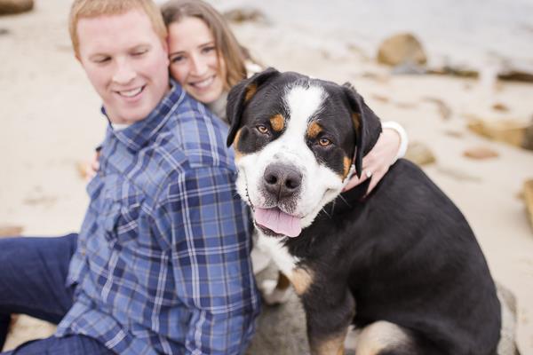 la plus grande race de chien au monde