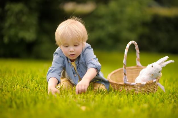 Charming little boy hunting for easter egg in spring park on easter day. Premium Photo
