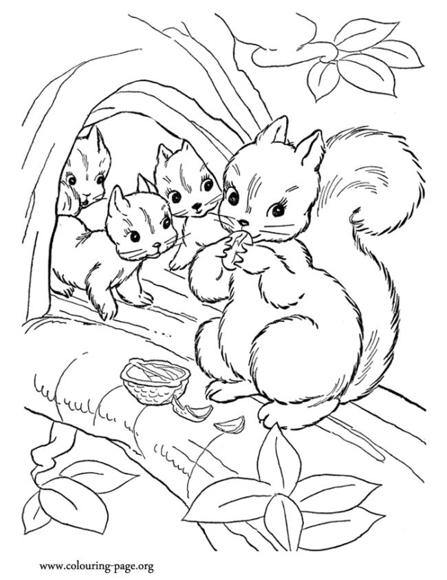 What about have fun with this beautiful coloring sheet? Just print it |  Squirrel coloring page, Animal coloring pages, Tree coloring page