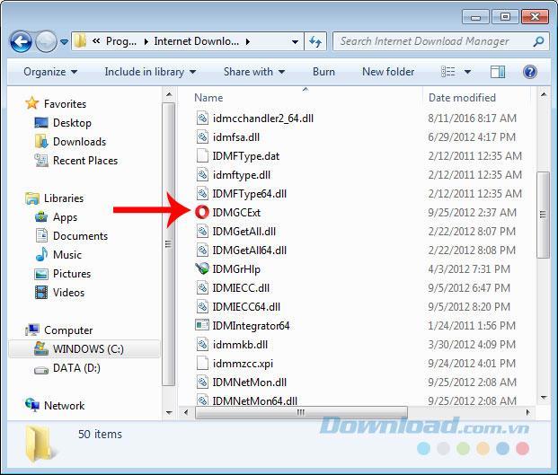 Come scaricare i dati su Opera utilizzando Internet Download Manager (IDM)